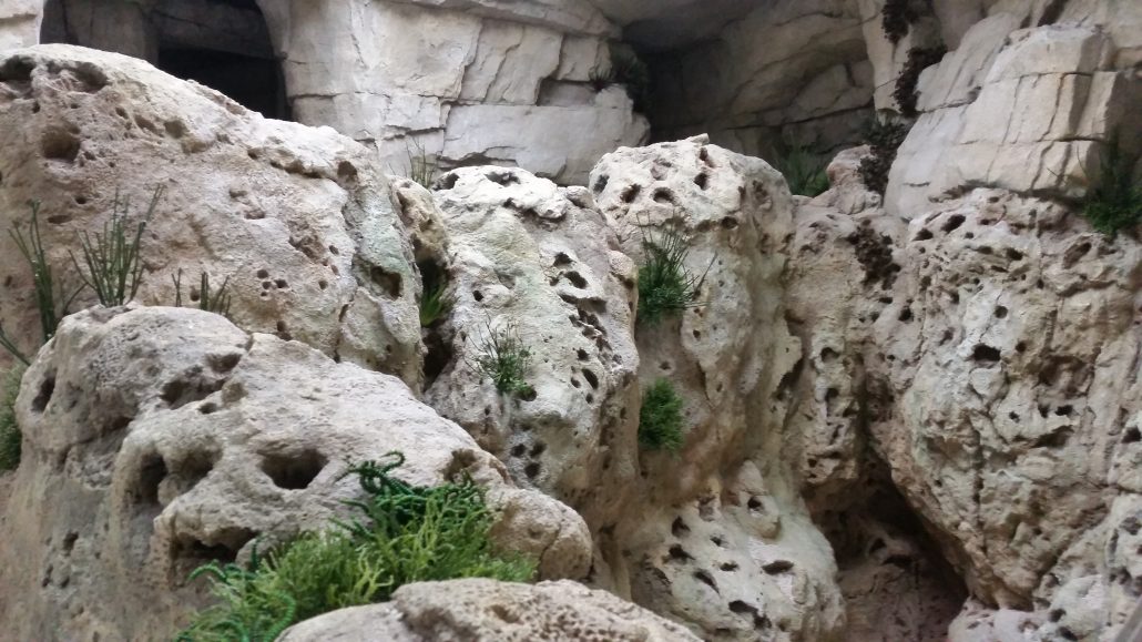 Detail der porösen Felsstrukturen und Bepflanzung.