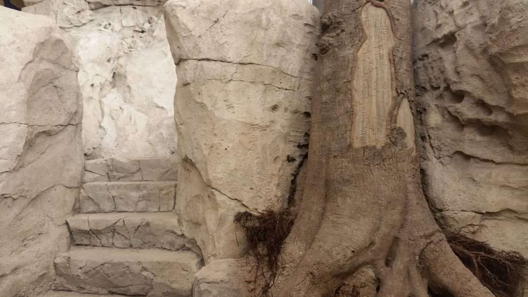 Baumstruktur neben einer in Fels geformten Treppe.